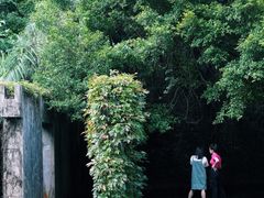 -燕晗山郊野公园