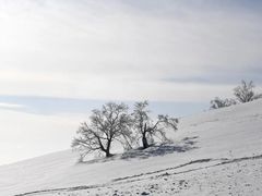 -金象山滑雪场