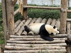 -黔灵山公园