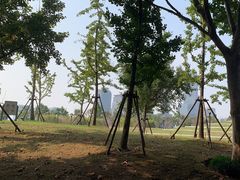 -上海山野camping·户外天幕烧烤·团建拓展营地