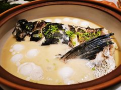 淳牌有机鱼-隆聚·时令海鲜(洪兴店)