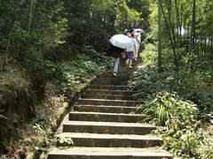 -蔡伦竹海