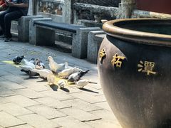 -潭柘寺景区