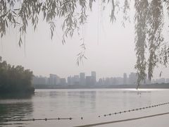 -天鹅湖体育公园