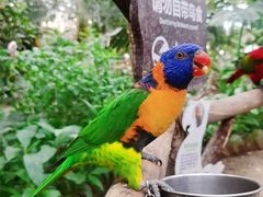 -南宫五洲植物乐园