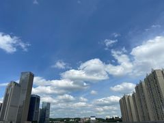 -丝恋丝娃娃(金阳国贸店)
