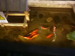 -湘与香缘·湖南菜(王府井北京市百货大楼店)