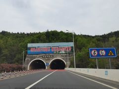 -丹水桥地锅鱼·翘嘴鲌·地方特色全鱼宴(丹江口大坝店)