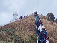 -涉地可支