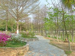 -东莞植物园