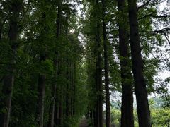 -同里国家湿地公园