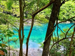 -石台牯牛降景区