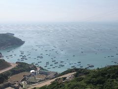 -枸杞岛