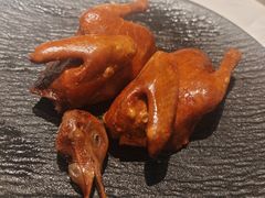 -三强鸽子(中原路店)