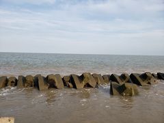 -南汇嘴观海公园