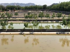 -东方巨龟苑景区