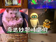 -极限PLAY运动娱乐新世界·团建派对潮玩休闲馆·室内蹦极高空游乐园