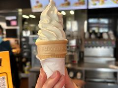 -麦当劳(新新大道岗丰店)