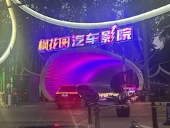 -枫花园汽车电影院(朝阳公园店)