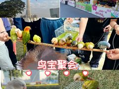 -二沙岛艺术公园