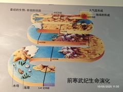 -安徽省地质博物馆