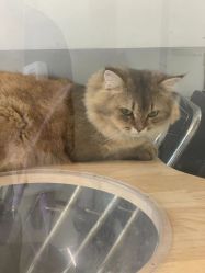 -MAGIC·京都造型·烫染馆