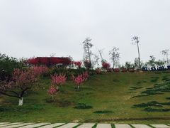 -秀丽东方