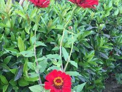 -帐篷客·溪龙茶谷度假酒店