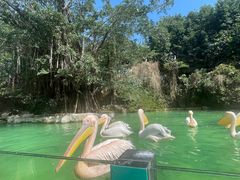 -珠海长隆海洋王国