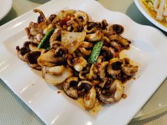 沙姜炒八爪鱼-新享乐海鲜(翠华路店)