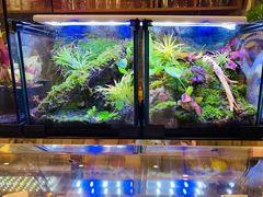 -Rabbit Cafe私房西餐甜点咖啡(栖霞路店)