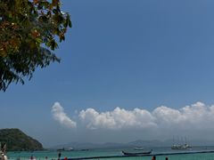 -珊瑚岛