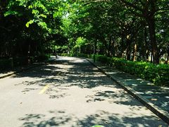 -水濂山森林公园