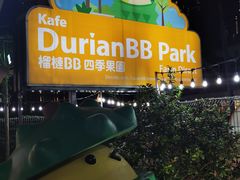 -榴莲BB 四季果园