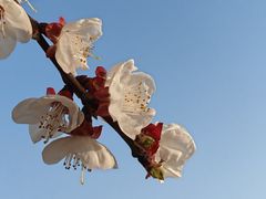 -终南山国家森林公园