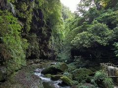 -碧峰峡风景区