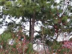 -白塘生态植物园