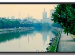 -光明港公园