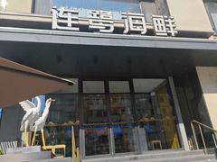 -连鹭海鲜·海肠捞饭·海胆饭(星海店)