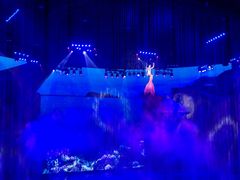 -芜湖新华联大白鲸海洋公园