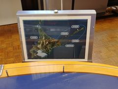 北方四岛-北海道厅旧本厅舍(旧本庁舎)