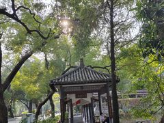 -荔湾湖公园