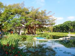 -四海公园(南山区)
