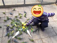 -呀路古热带植物园
