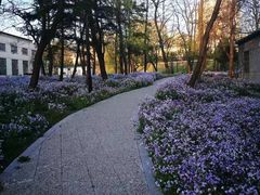 -大连理工大学(凌水校区)