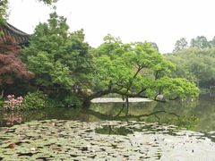 -西湖外事游船(花港观鱼码头)