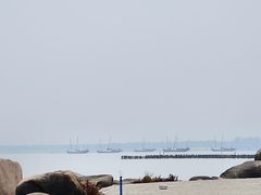 -长兴太湖图影湿地文化园