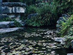 -龙头寺公园
