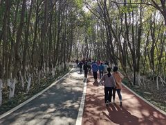 -艾溪湖湿地公园