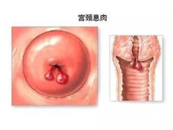 -邢台妇产医院